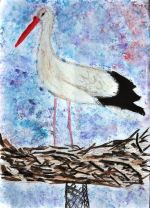 Štetková Sabina.jpg